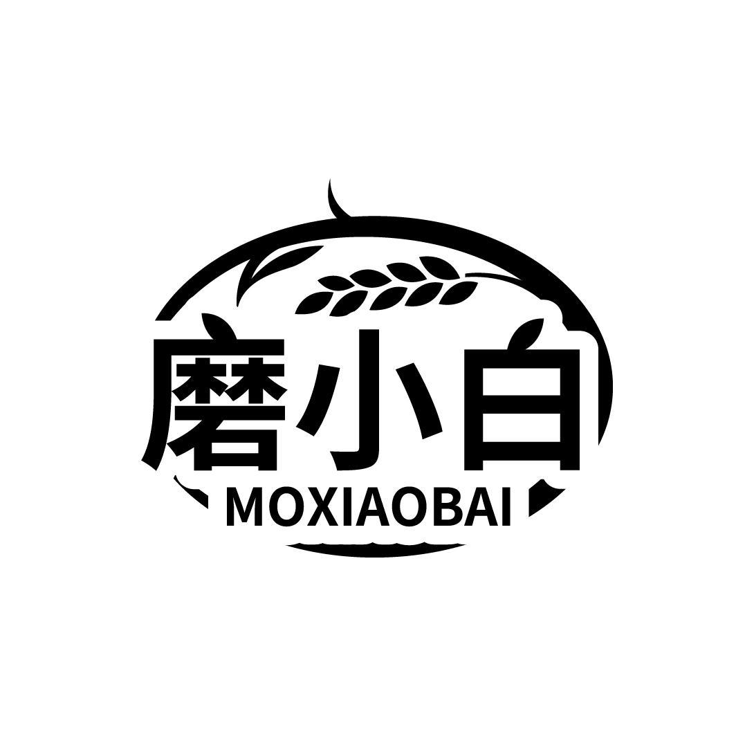 磨小白