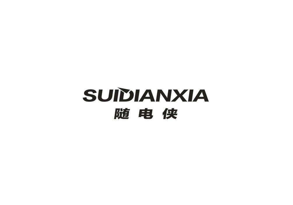 随电侠