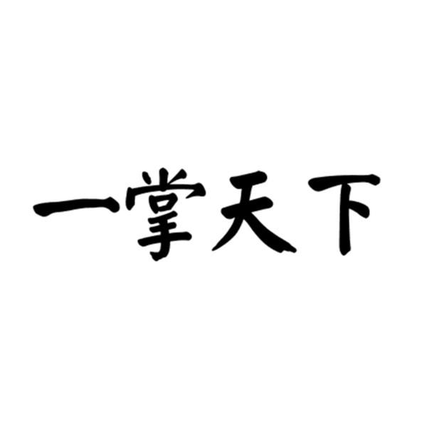 一掌天下