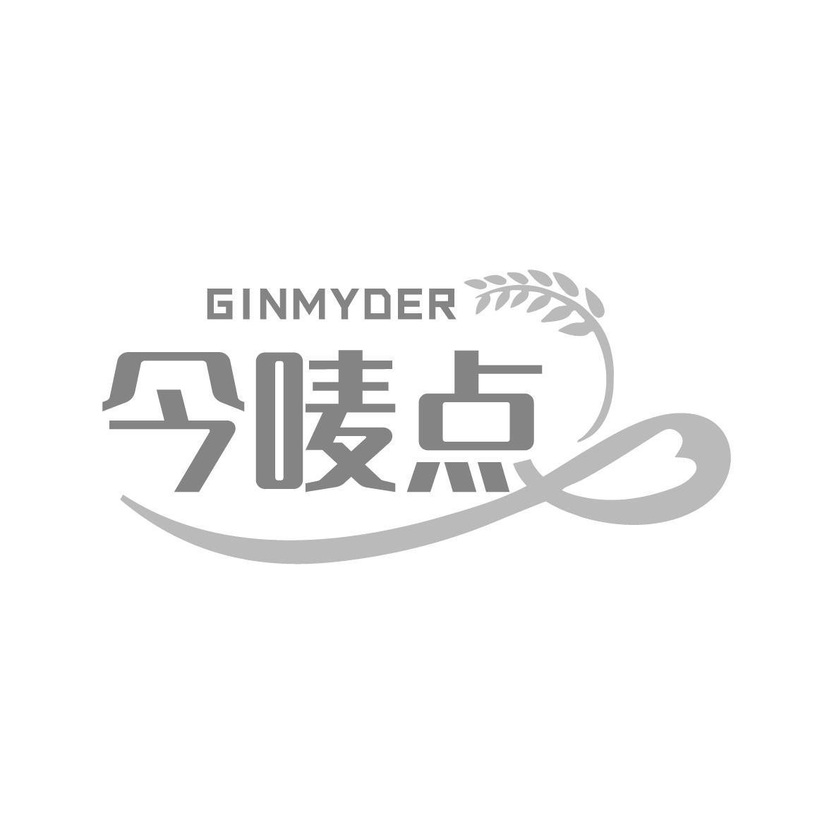  今唛点 GINMYDER
