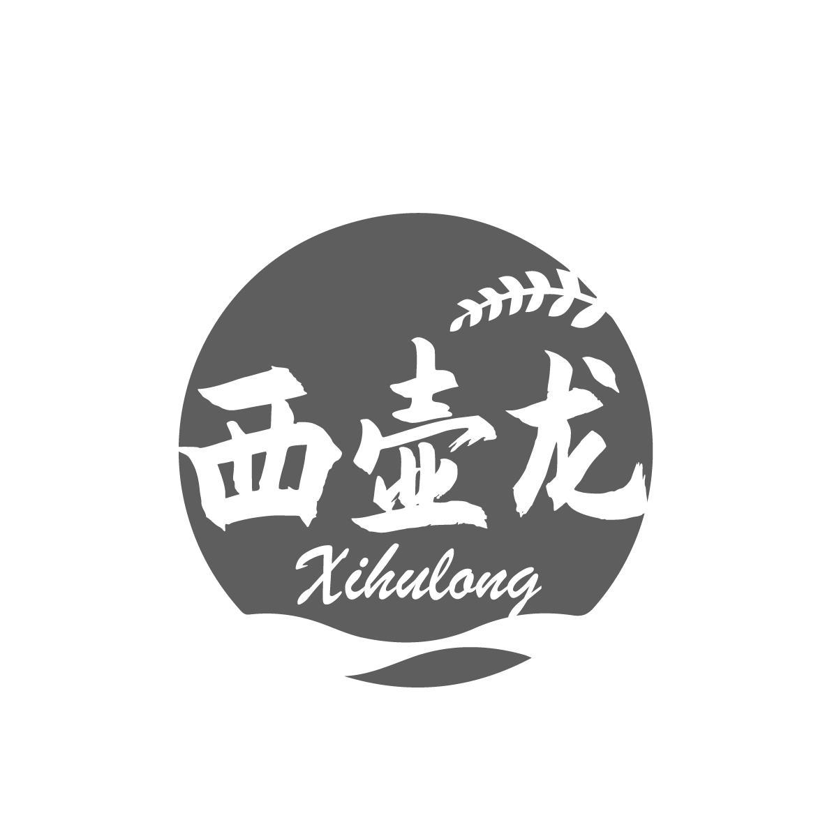  西壶龙Xihulong