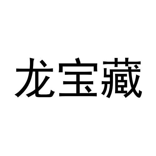 龙宝藏