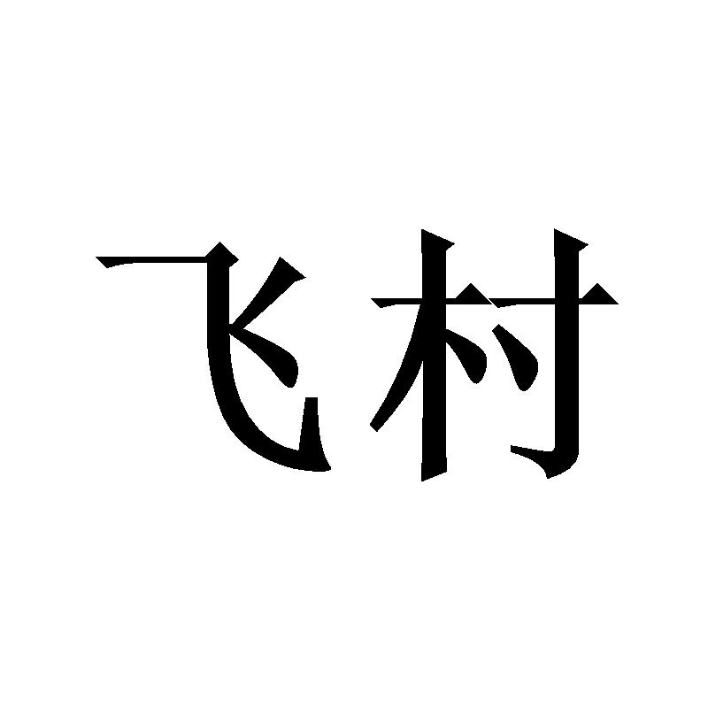 飞村