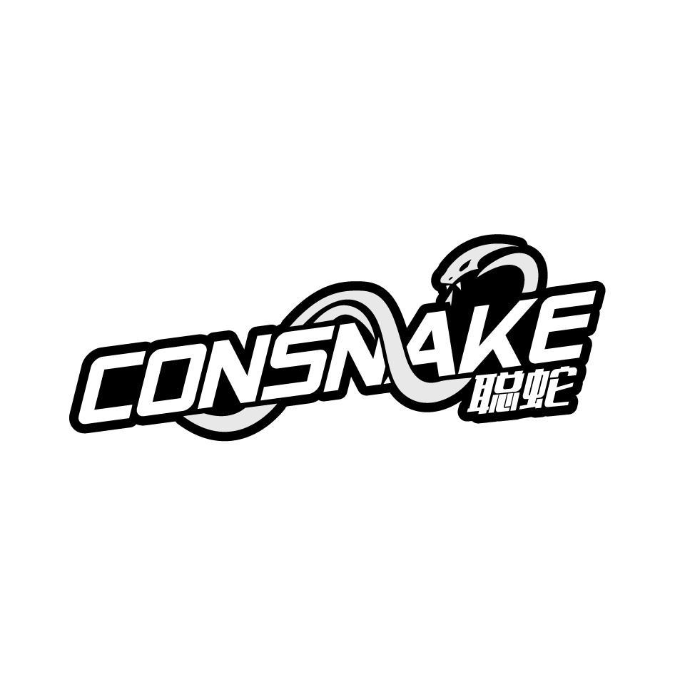 聪蛇CONSNAKE