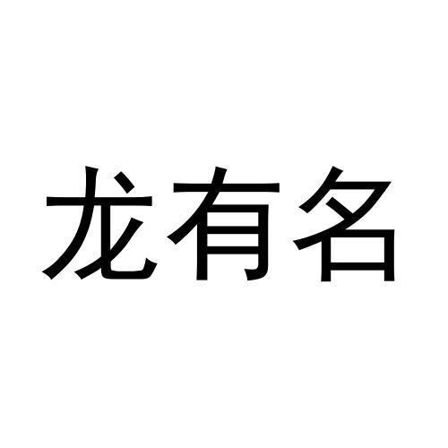龙有名