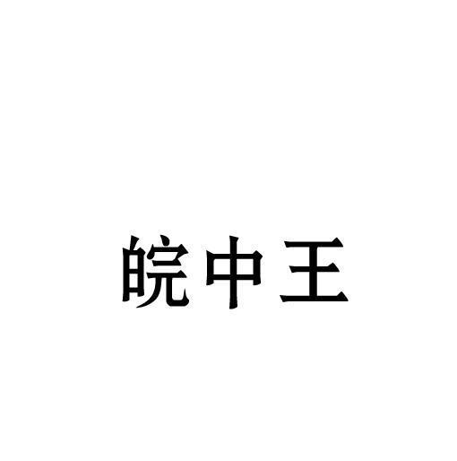 皖中王