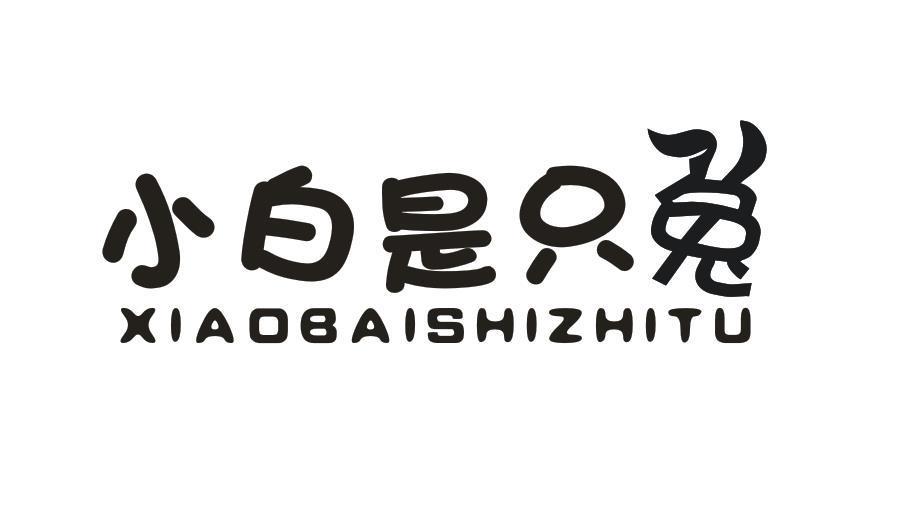 小白是只兔