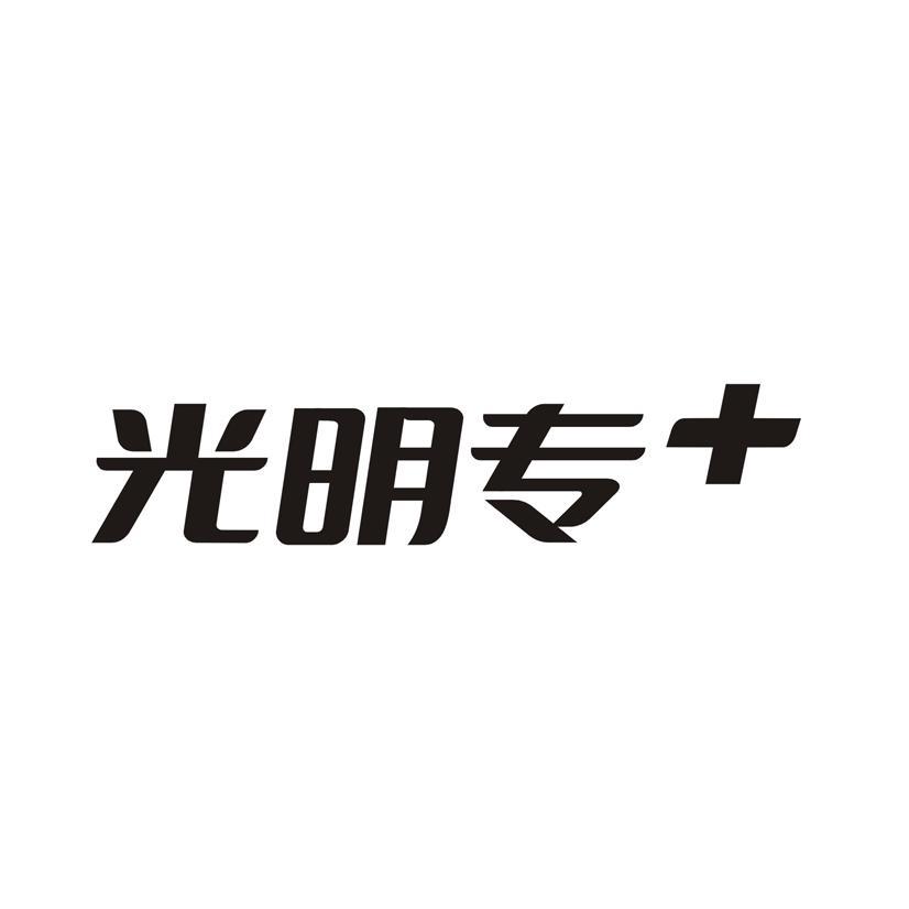 光明专+