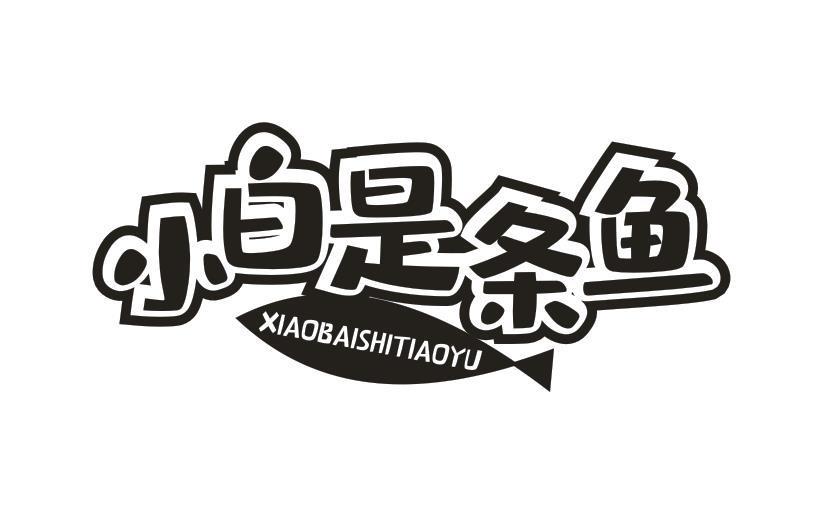 小白是条鱼