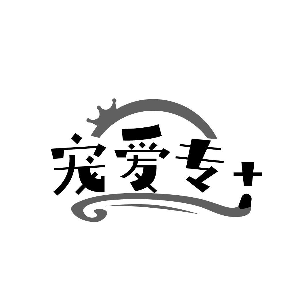 宠爱专+