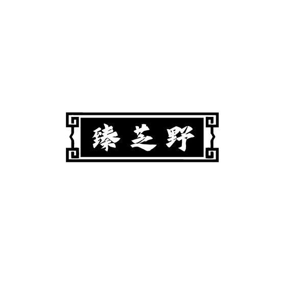 臻芝野
