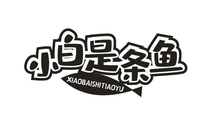 小白是条鱼