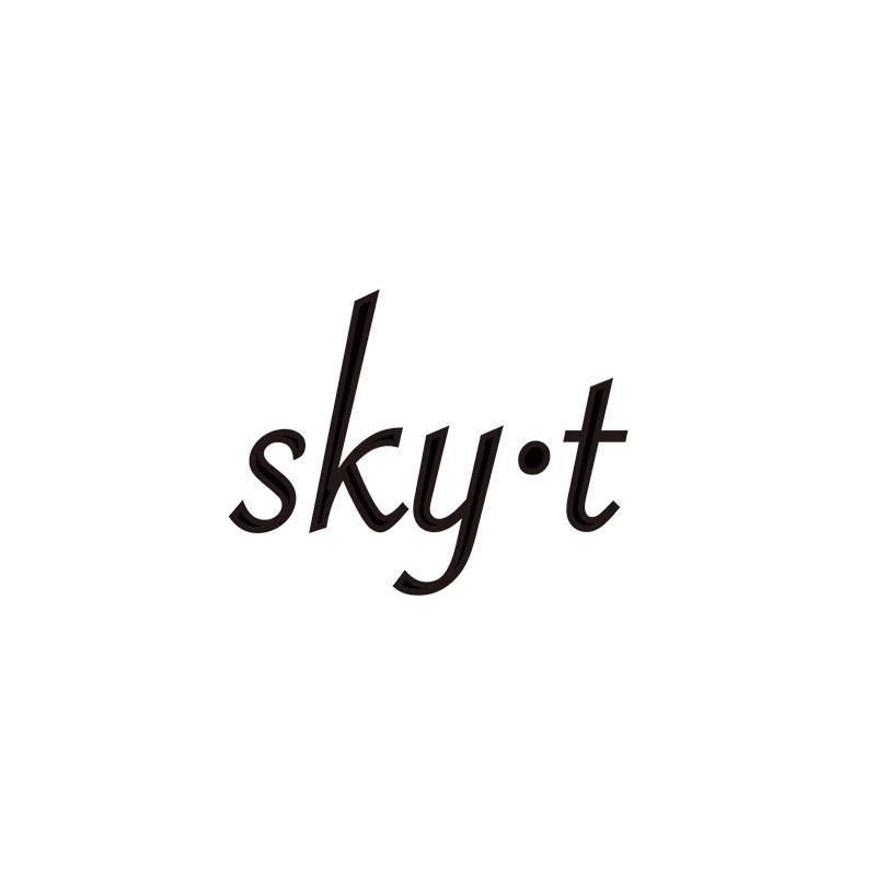 SKY·T