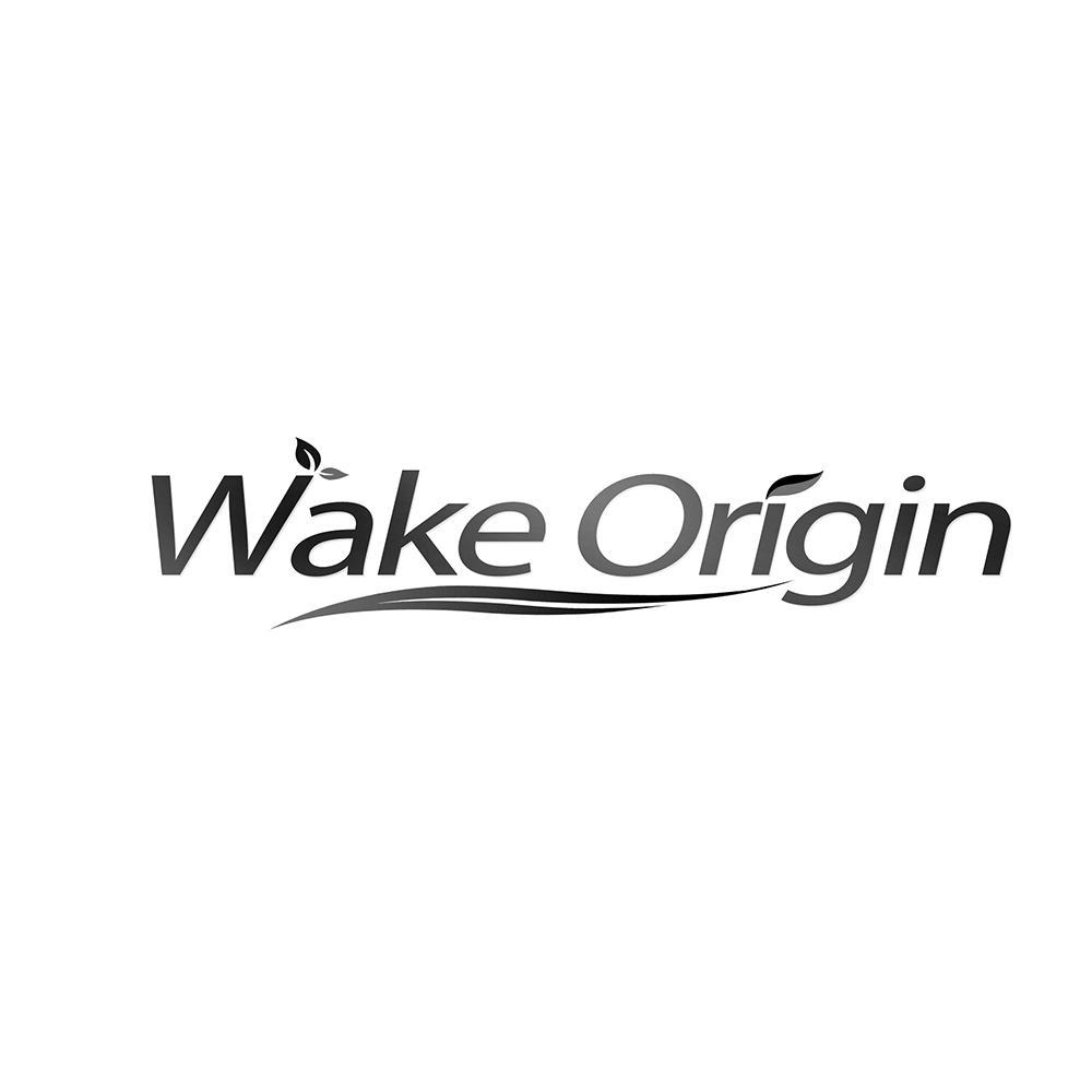WAKE ORIGIN“唤醒之源”
