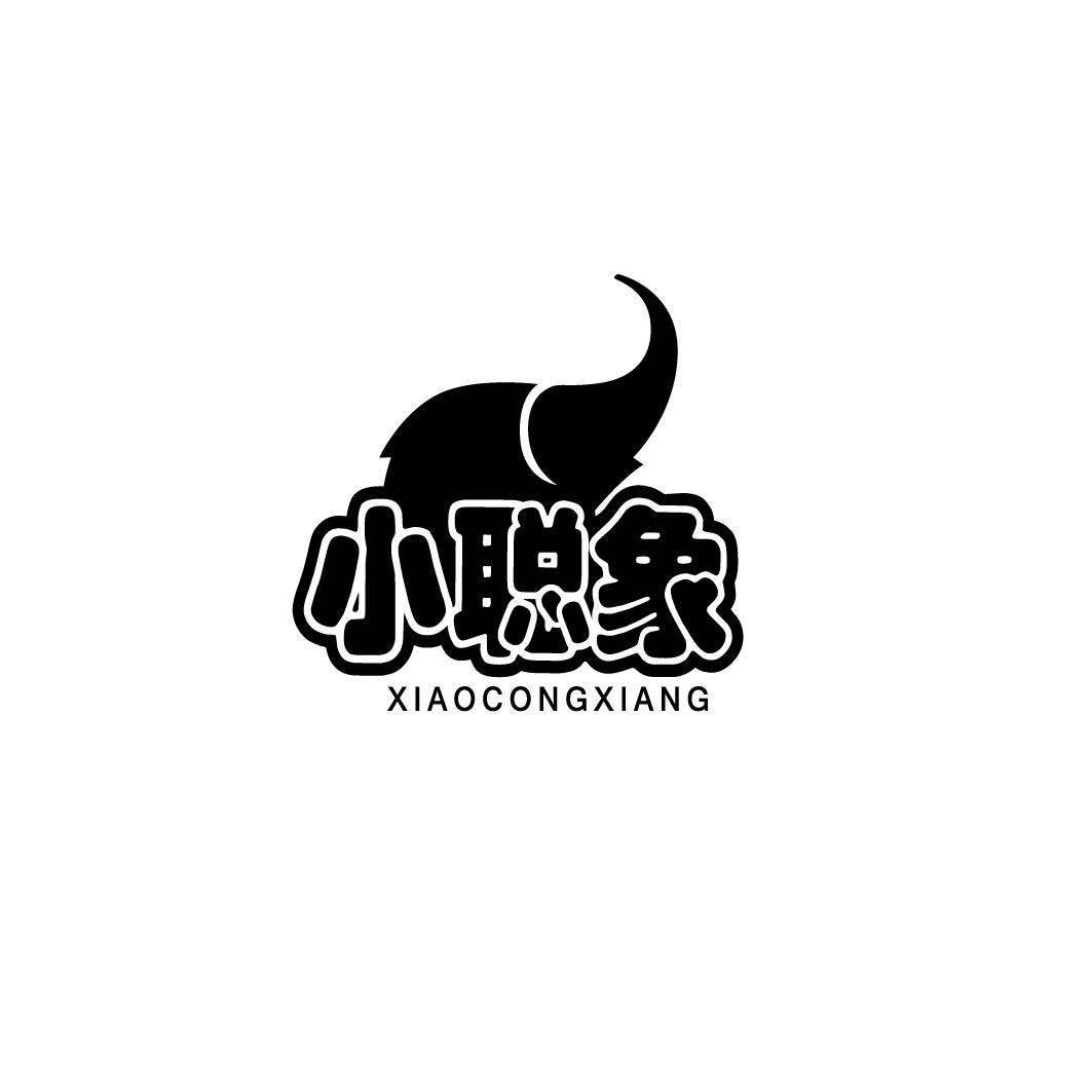 小聪象