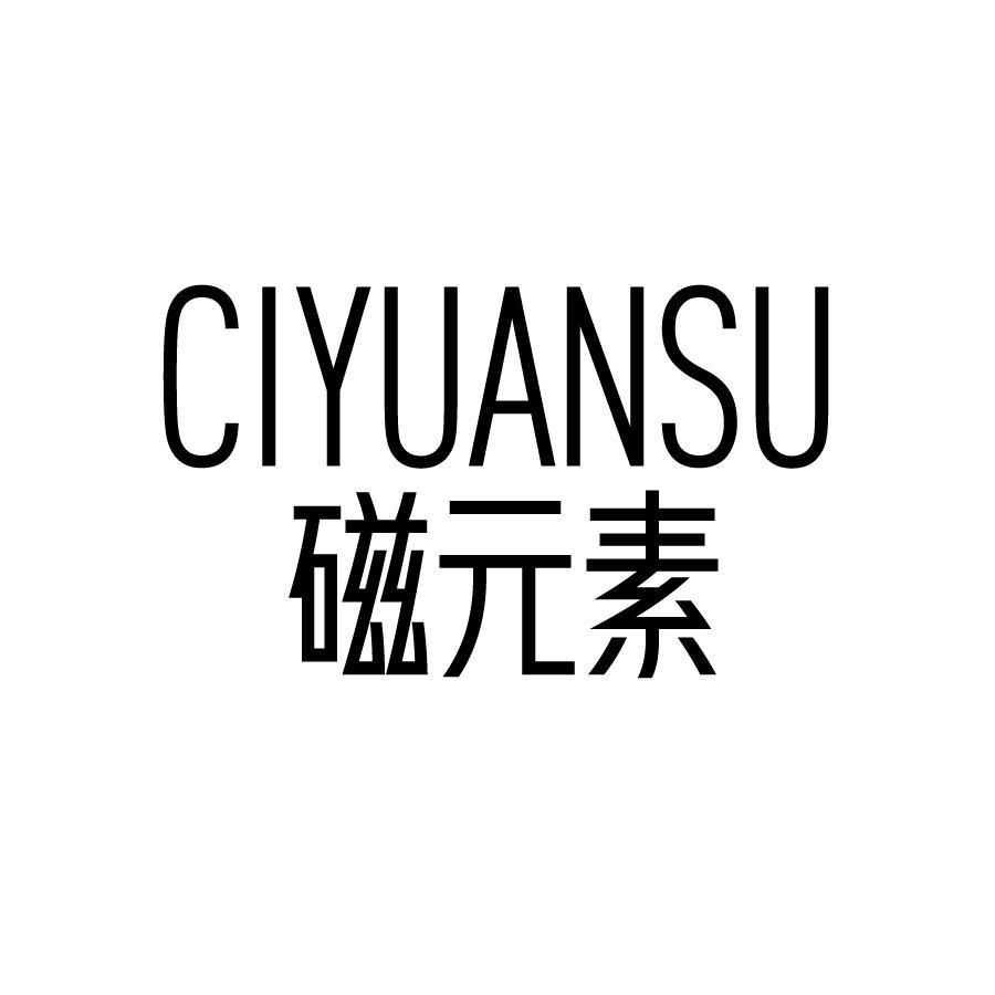 磁元素 