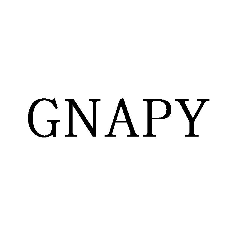 GNAPY