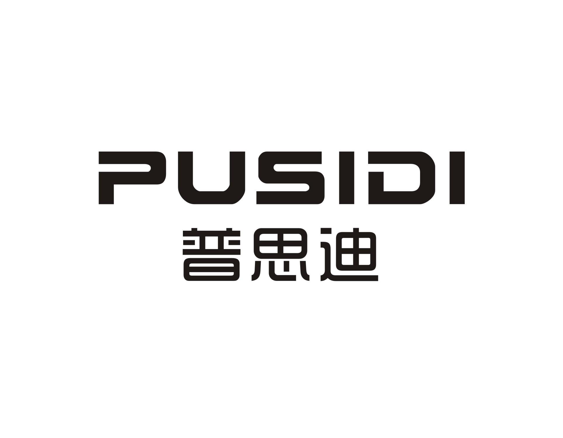 普思迪
