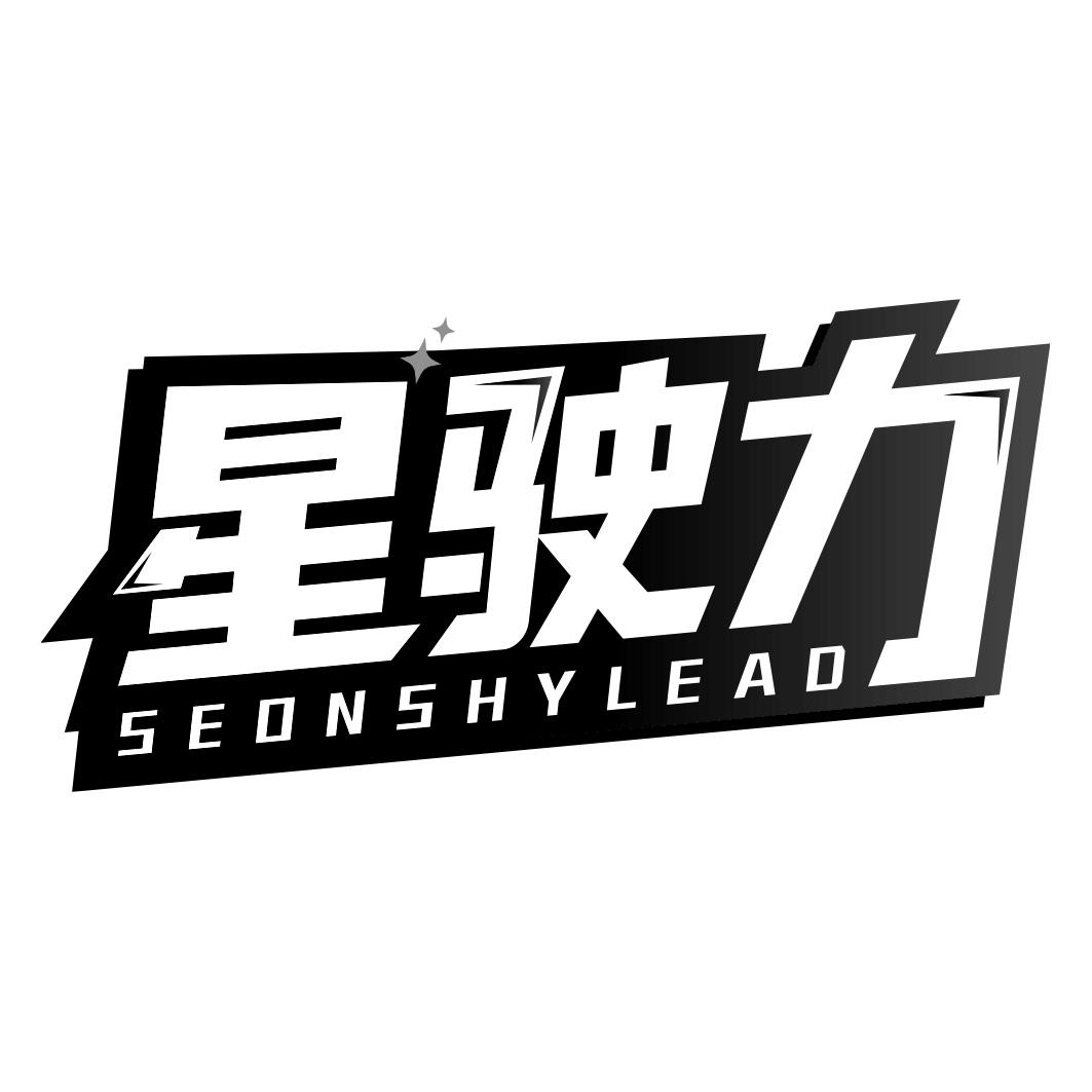 星驶力 SEONSHYLEAD
