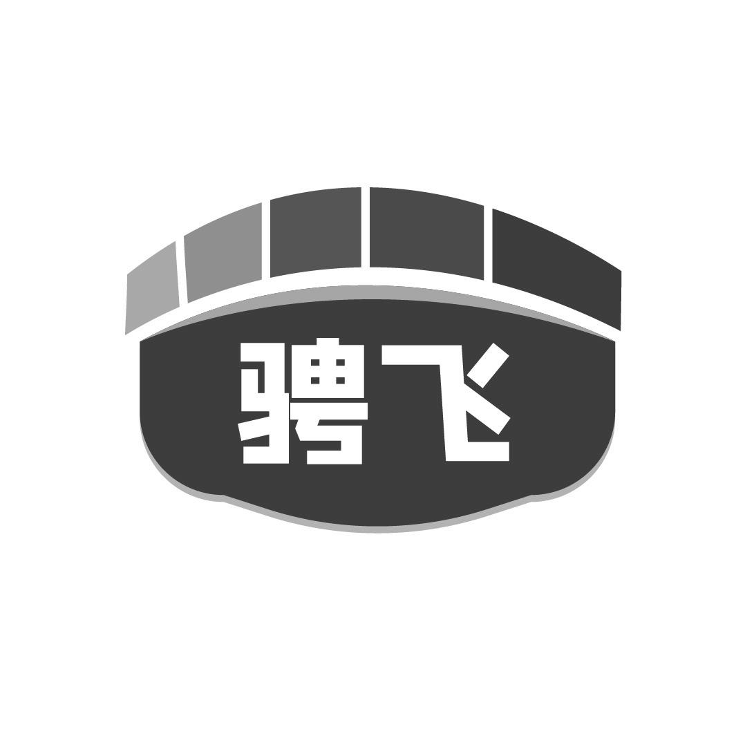 骋飞