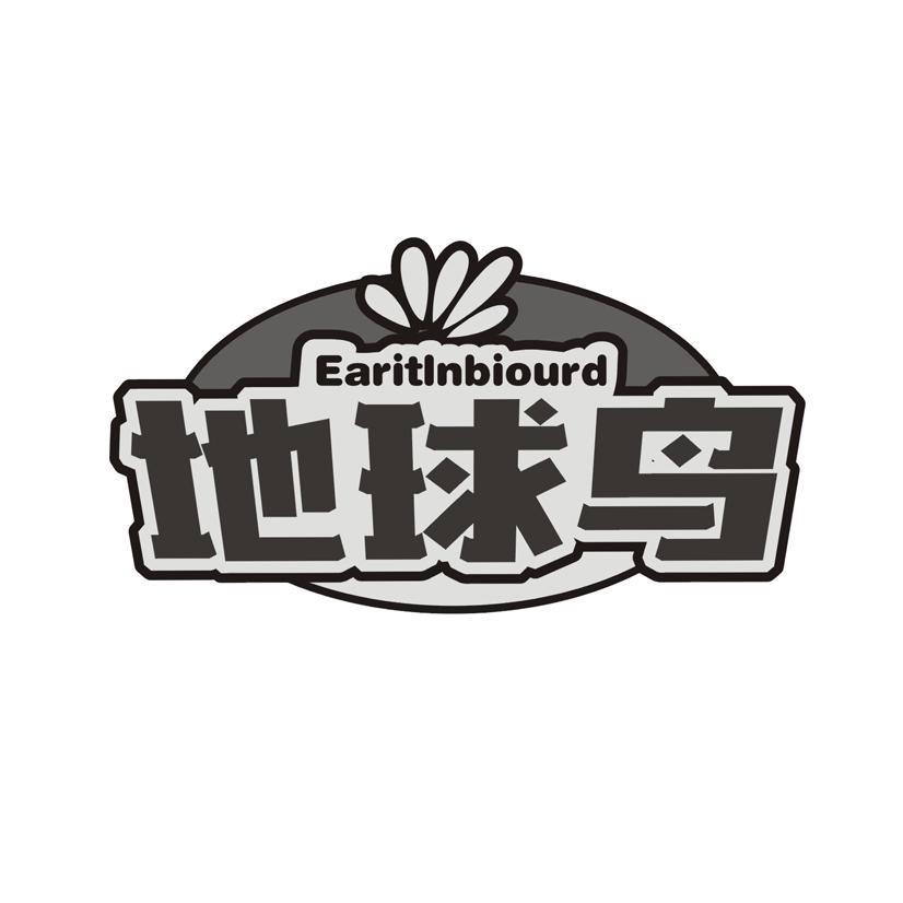 地球鸟 EARITLNBIOURD