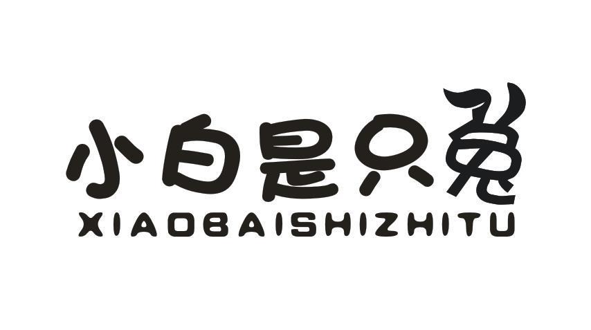小白是只兔