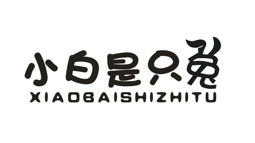 小白是只兔