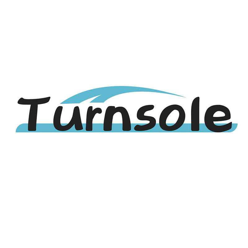 Turnsole     （向日葵）