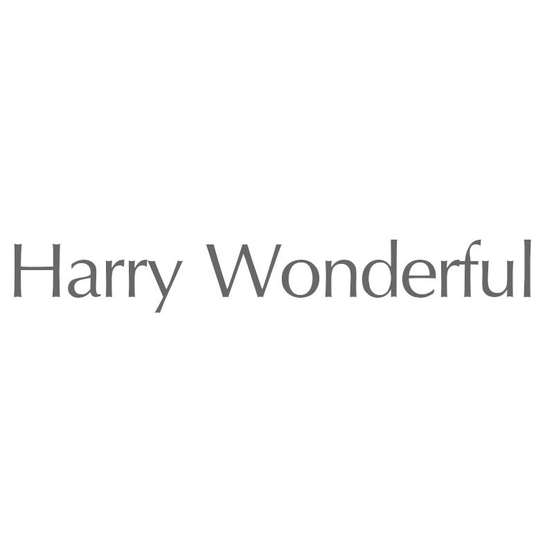 HARRY WONDERFUL