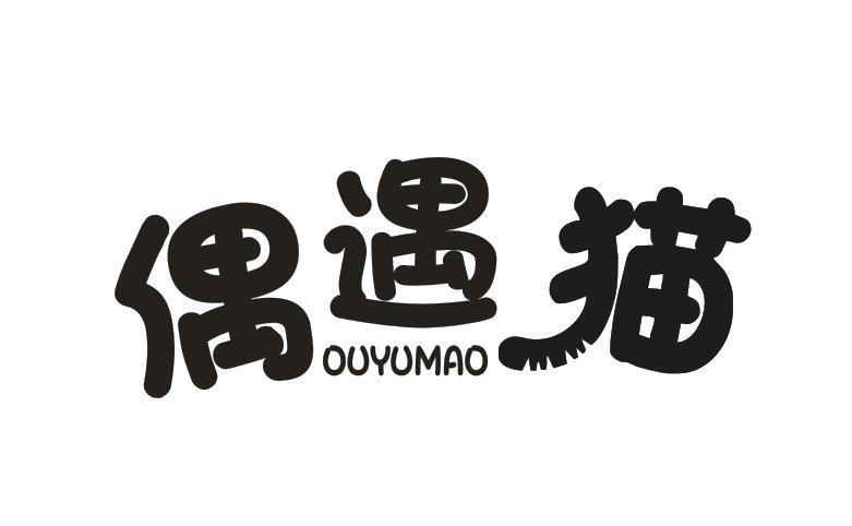 偶遇猫