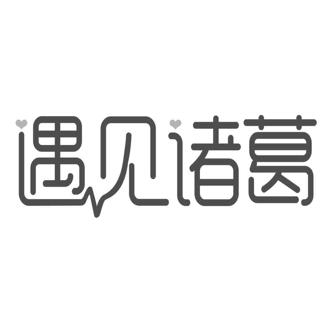遇见诸葛