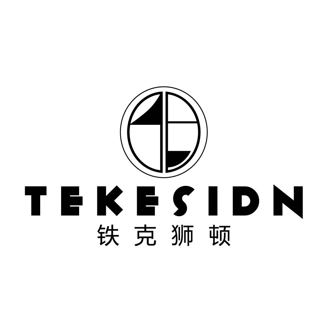  铁克狮顿 TEKESIDN