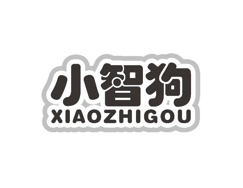 小智狗