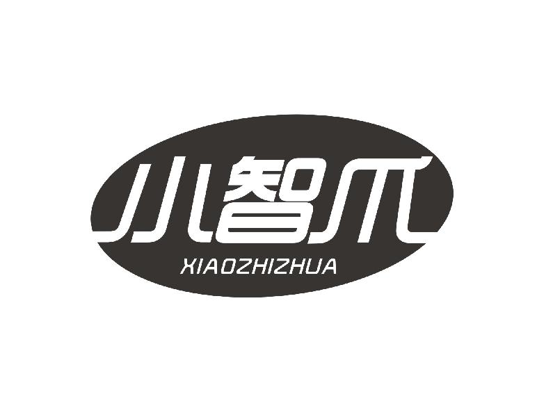 小智爪