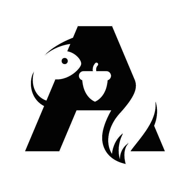 纯图形（A松鼠）
