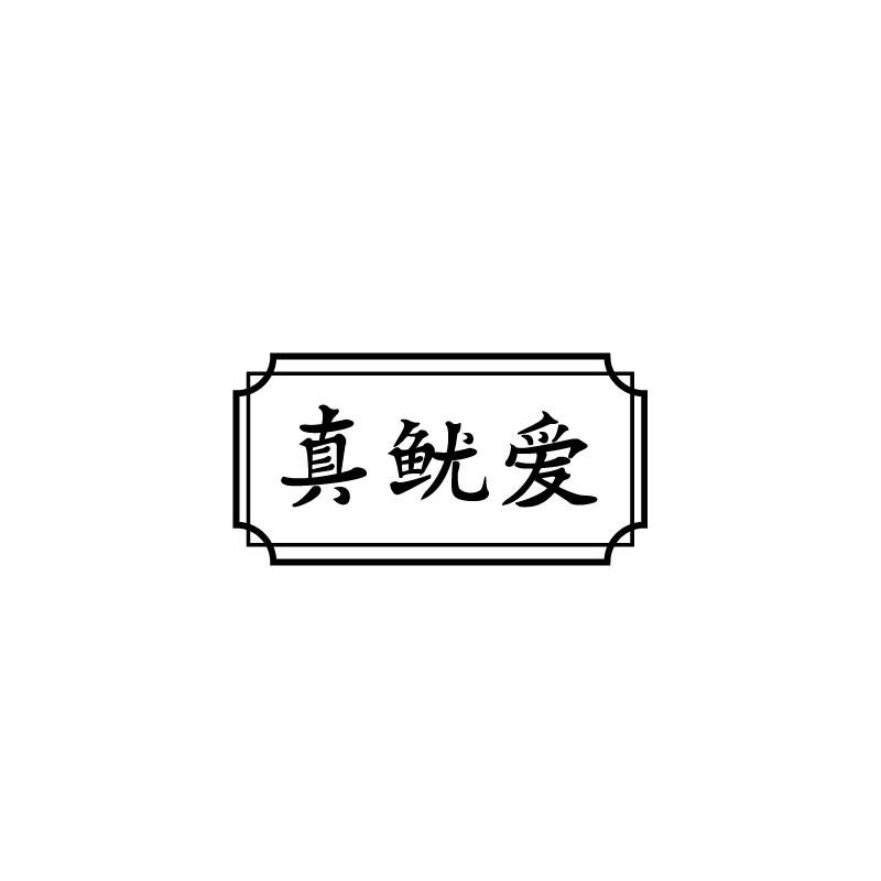 真鱿爱