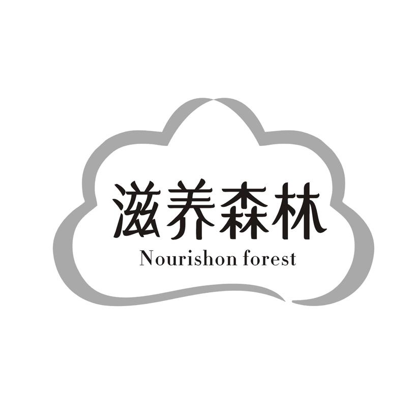 滋养森林 NOURISHON FOREST