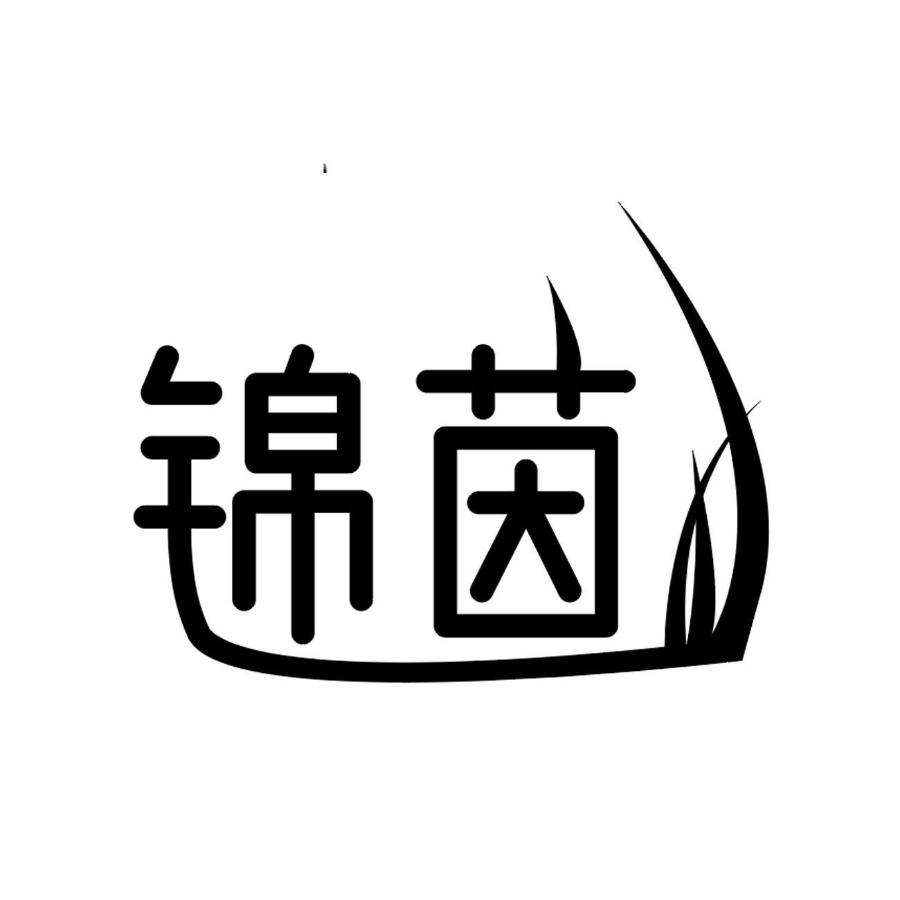锦茵