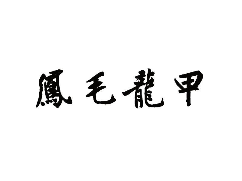 凤毛龙甲