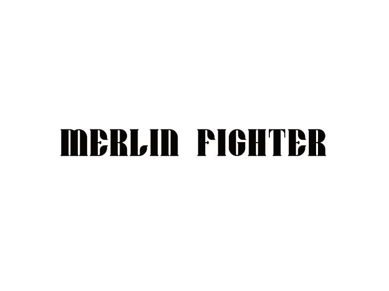 MERLIN FIGHTER   （译为：隼斗士）
