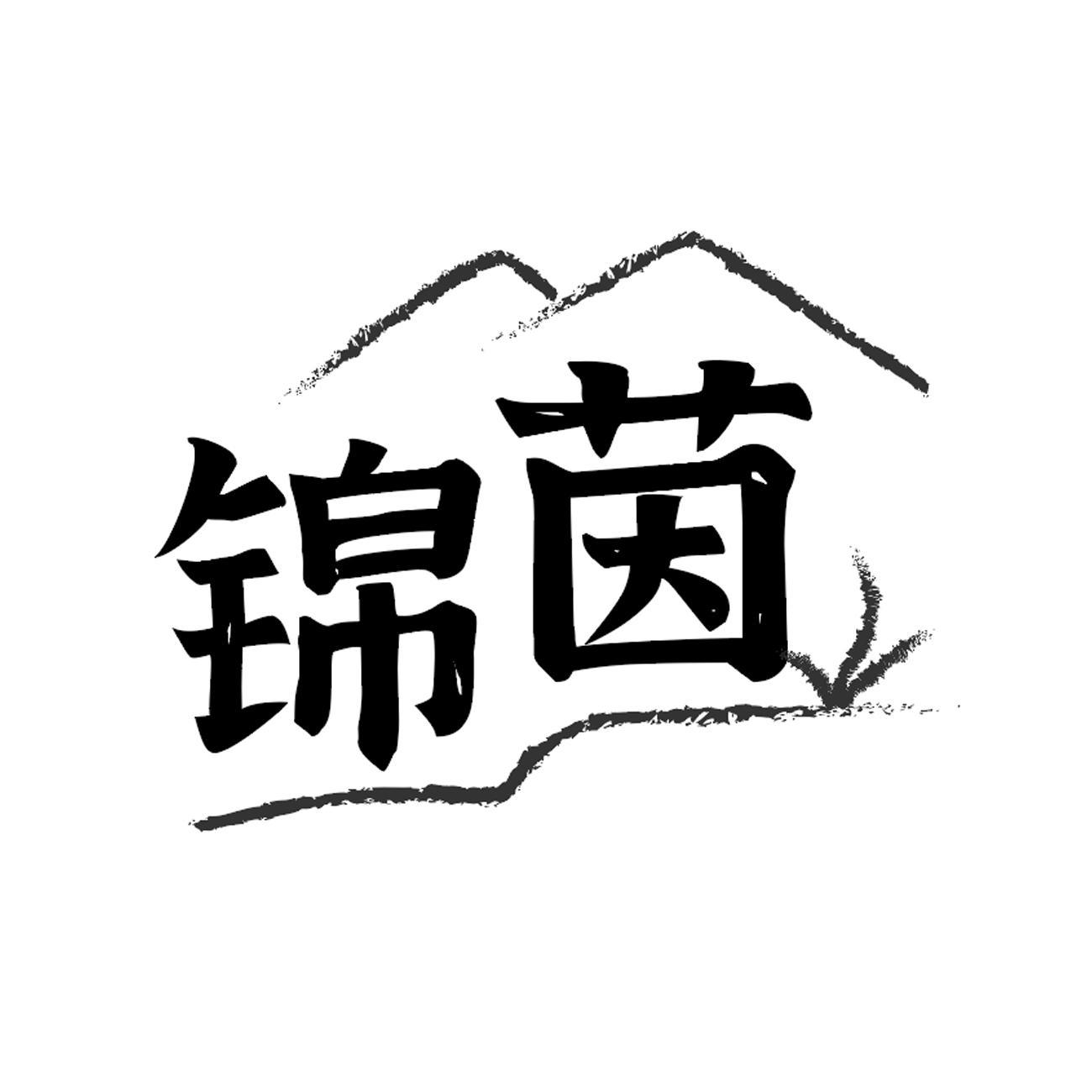 锦茵