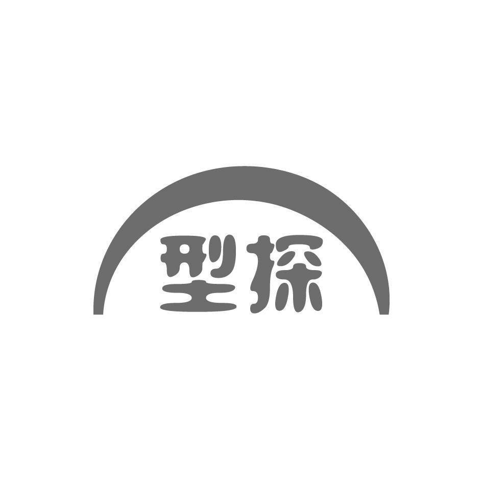 型探