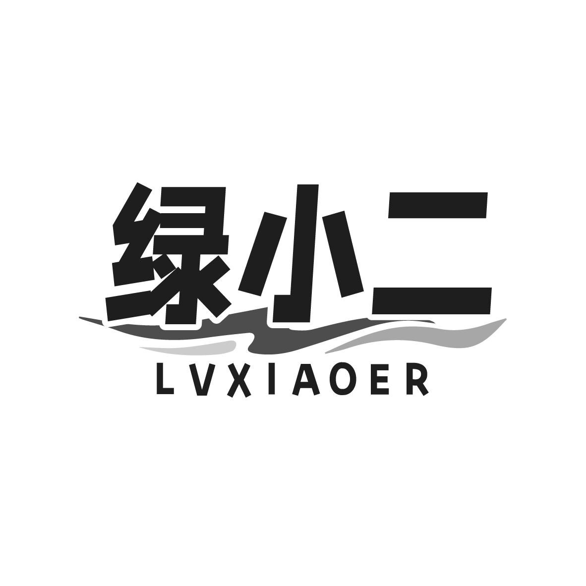 绿小二LVXIAOER