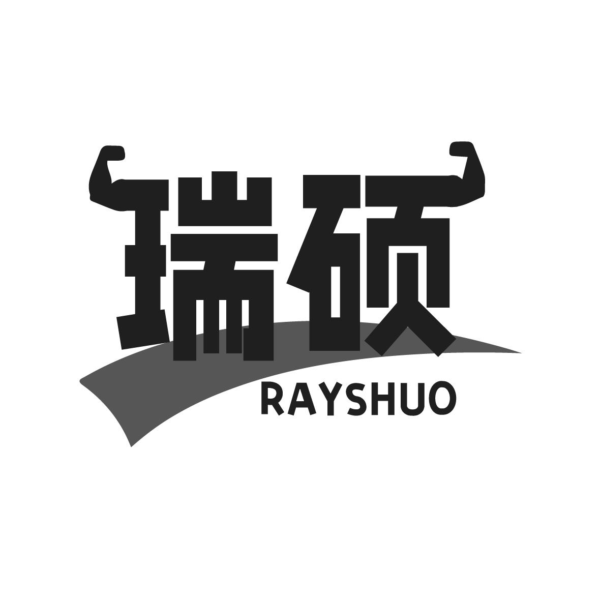 瑞硕 RAYSHUO 