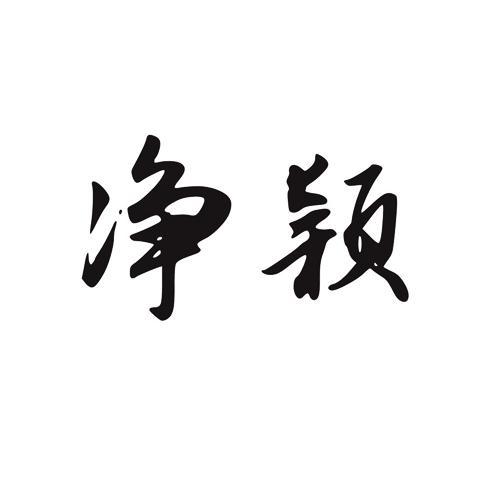 净颖
