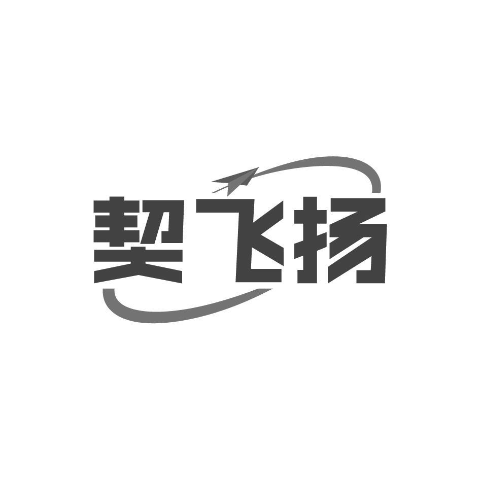 契飞扬