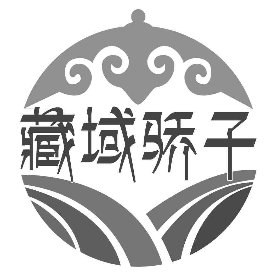藏域骄子