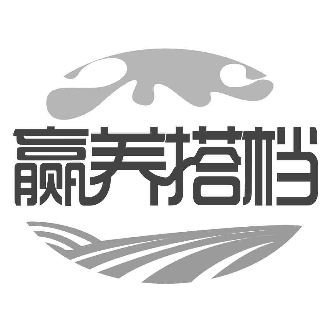 赢养搭档