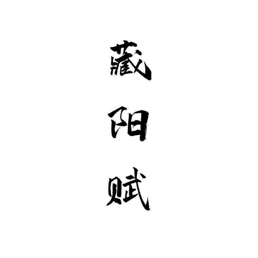 藏阳赋