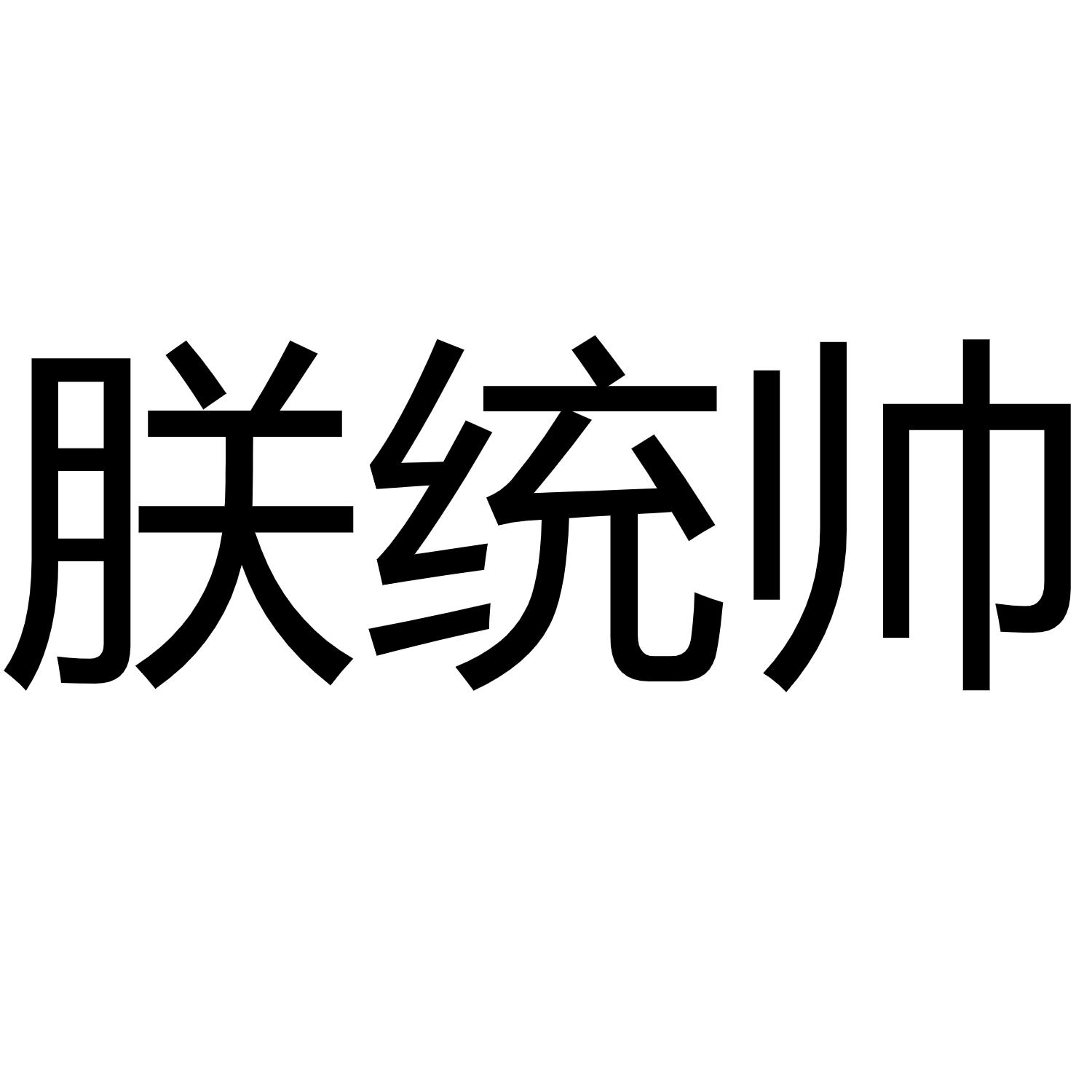 朕统帅
